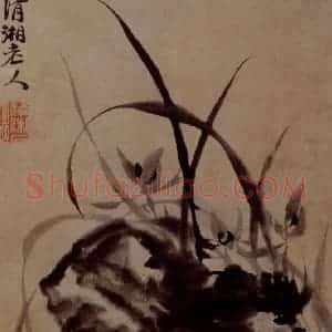 明末清初 石涛《花卉图册》国画花鸟作品图片赏析