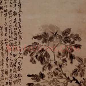 明末清初 石涛《兰石牡丹》国画花鸟作品图片赏析