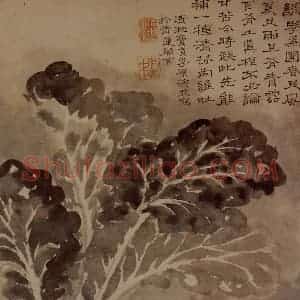 明末清初 石涛《山水花卉8开》国画花鸟作品图片赏析