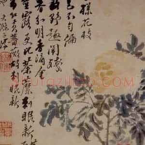 1694年 石涛《花卉12开》国画花鸟作品图片赏析