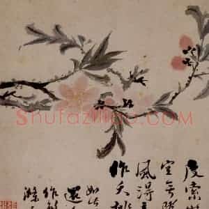 1694年 石涛《花卉12开》国画花鸟作品图片赏析