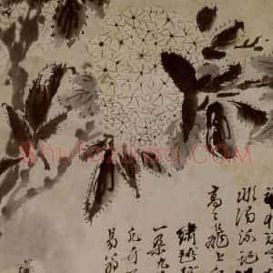 1694年 石涛《花卉12开》国画花鸟作品图片赏析