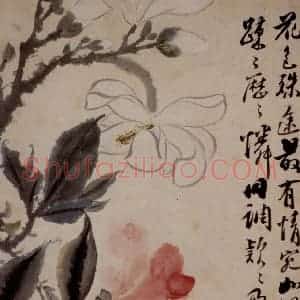 1694年 石涛《花卉12开》国画花鸟作品图片赏析