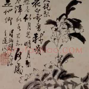 1694年 石涛《花卉12开》国画花鸟作品图片赏析