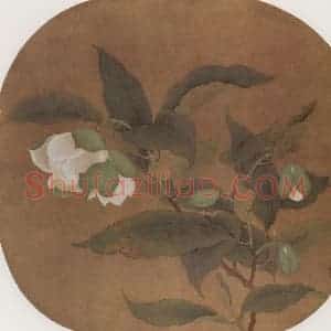 南宋《白茶花》国画花鸟作品图片赏析