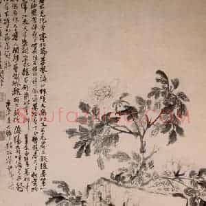清代 石涛《牡丹竹石图轴》国画花鸟作品图片赏析