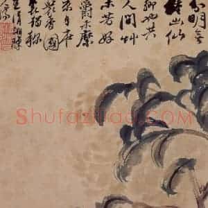 清代 石涛《花卉册》国画花鸟作品图片赏析