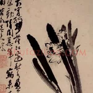 清代 石涛《花卉册》国画花鸟作品图片赏析