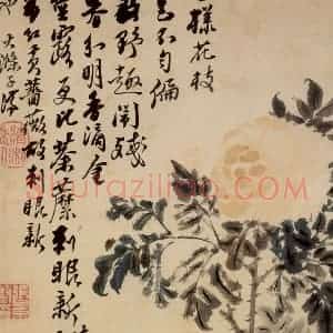 清代 石涛《花卉册》国画花鸟作品图片赏析