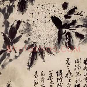 清代 石涛《花卉册》国画花鸟作品图片赏析