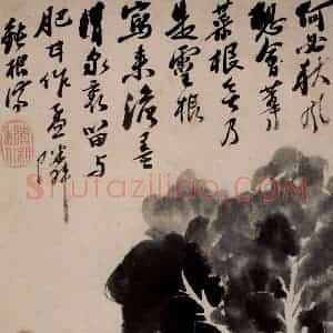 清代 石涛《花卉册》国画花鸟作品图片赏析