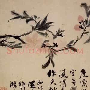清代 石涛《花卉册》国画花鸟作品图片赏析
