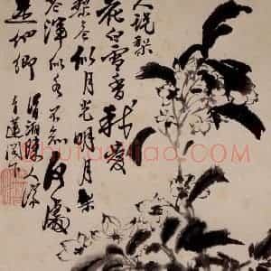 清代 石涛《花卉册》国画花鸟作品图片赏析