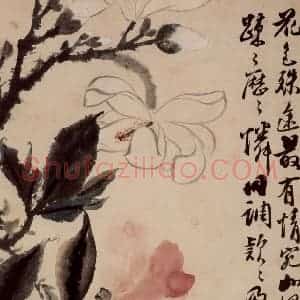 清代 石涛《花卉册》国画花鸟作品图片赏析