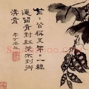 清代 石涛《蔬果册》国画花鸟作品图片赏析