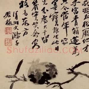 清代 石涛《蔬果册》国画花鸟作品图片赏析