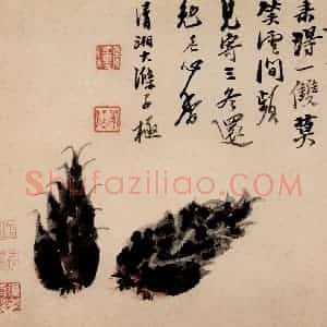 清代 石涛《蔬果册》国画花鸟作品图片赏析