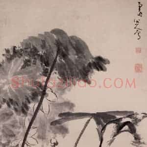 清代 朱耷《荷鸭图轴》国画花鸟作品图片赏析