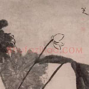 清代 朱耷《荷鸭图轴》国画花鸟作品图片赏析