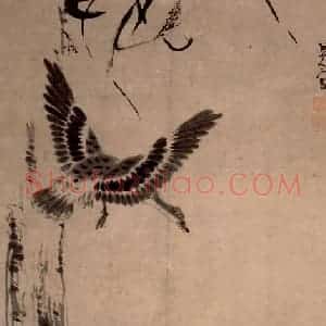 清代 朱耷《芦雁图轴》国画花鸟作品图片赏析