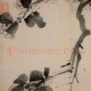 清代 朱耷《墨花册》国画花鸟作品图片赏析