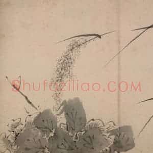 清代 朱耷《墨花册》国画花鸟作品图片赏析