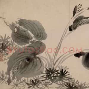 清代 朱耷《墨花册》国画花鸟作品图片赏析