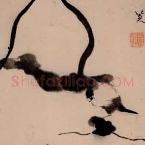 清代 朱耷《书画册》国画花鸟作品图片赏析