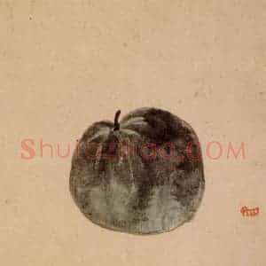清代 朱耷《花果册》国画花鸟作品图片赏析