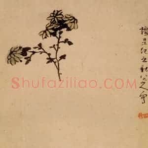 清代 朱耷《花果册》国画花鸟作品图片赏析