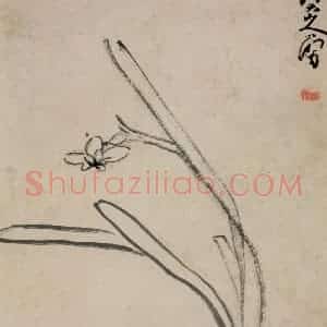 清代 朱耷《书画册》国画花鸟作品图片赏析