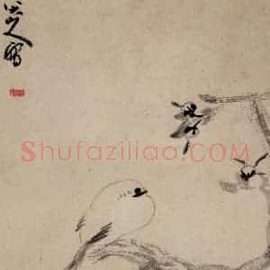 清代 朱耷《书画册》国画花鸟作品图片赏析
