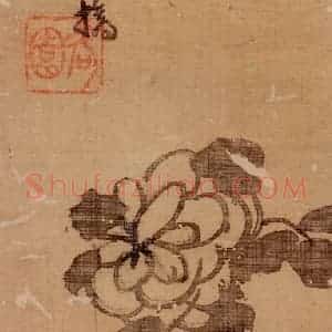 清代 朱耷《花鸟册》国画花鸟作品图片赏析