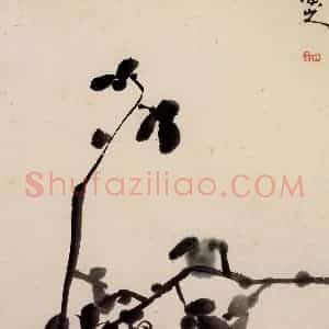 清代 朱耷《花鸟册》国画花鸟作品图片赏析