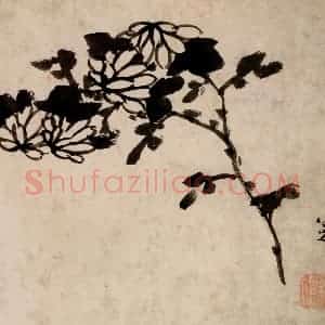 清代 朱耷《花鸟册》国画花鸟作品图片赏析