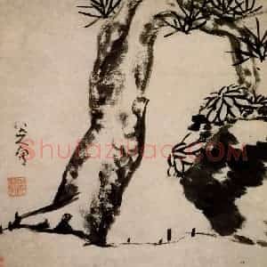 清代 朱耷《苍松菊石图页》国画花鸟作品图片赏析