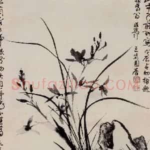 1965年 谢稚柳《幽兰图》国画花鸟作品图片赏析