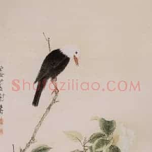 1973年 谢稚柳《山茶寒雀图》国画花鸟作品图片赏析