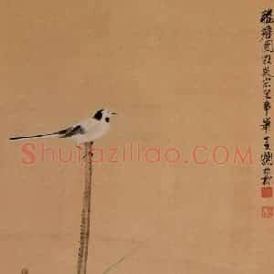 1947年 谢稚柳《秋塘图》国画花鸟作品图片赏析