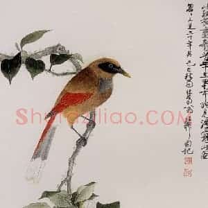 1959年 谢稚柳《红衣画眉图》国画花鸟作品图片赏析