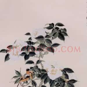 1959年 谢稚柳《白山茶图》国画花鸟作品图片赏析