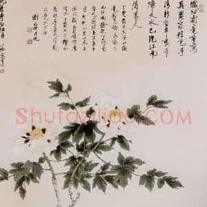 1959年 谢稚柳《龙华寺白牡丹图》国画花鸟作品图片赏析