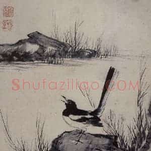 清代 张穆《禽鸟骏马图册》国画花鸟作品图片赏析