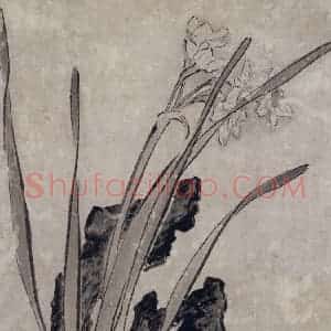 清代 张穆《珍兽花卉图册》国画花鸟作品图片赏析