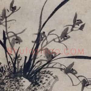 清代 张穆《珍兽花卉图册》国画花鸟作品图片赏析