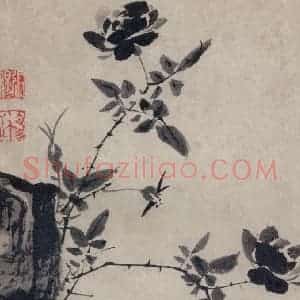 清代 张穆《珍兽花卉图册》国画花鸟作品图片赏析