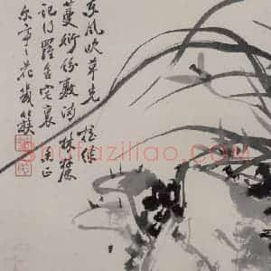 清代 张嘉谟《籣石图册》国画花鸟作品图片赏析