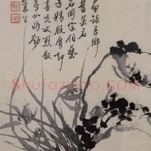 清代 张嘉谟《籣石图册》国画花鸟作品图片赏析