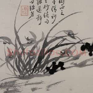 清代 张嘉谟《籣石图册》国画花鸟作品图片赏析