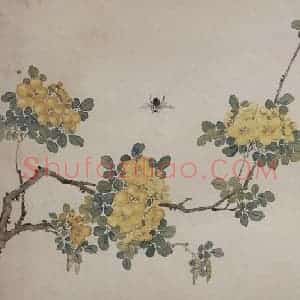 清代 张嘉谟《花卉草丛图册》国画花鸟作品图片赏析
